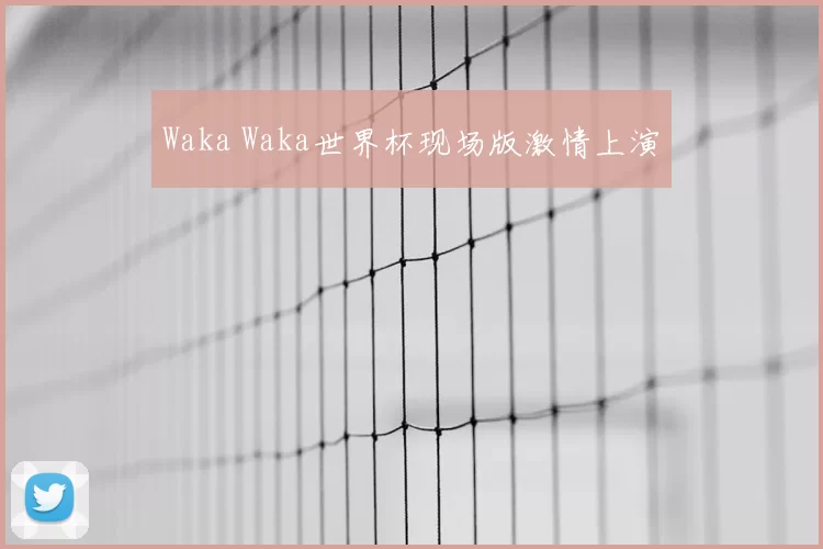 Waka Waka世界杯现场版激情上演