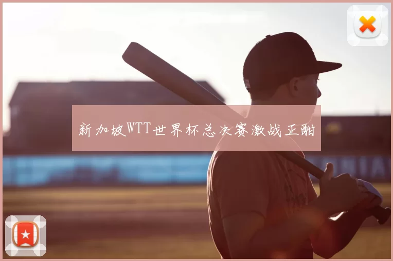 新加坡WTT世界杯总决赛激战正酣