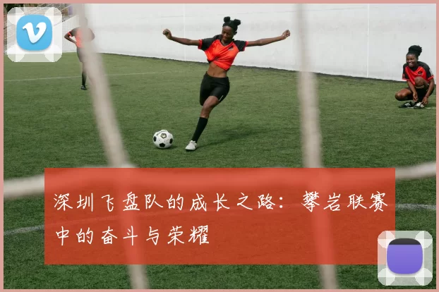 深圳飞盘队的成长之路：攀岩联赛中的奋斗与荣耀