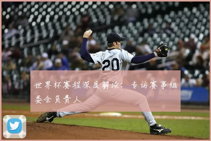 世界杯赛程深度解读：专访赛事组委会负责人