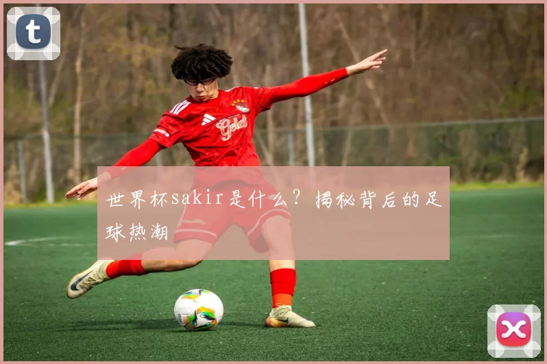 世界杯sakir是什么？揭秘背后的足球热潮