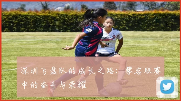 深圳飞盘队的成长之路：攀岩联赛中的奋斗与荣耀
