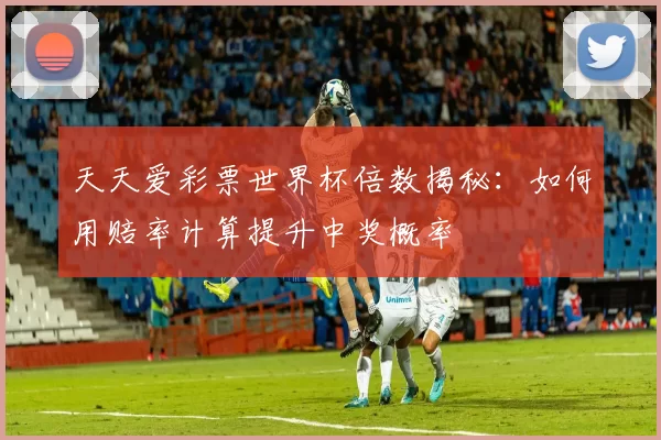 天天爱彩票世界杯倍数揭秘：如何用赔率计算提升中奖概率