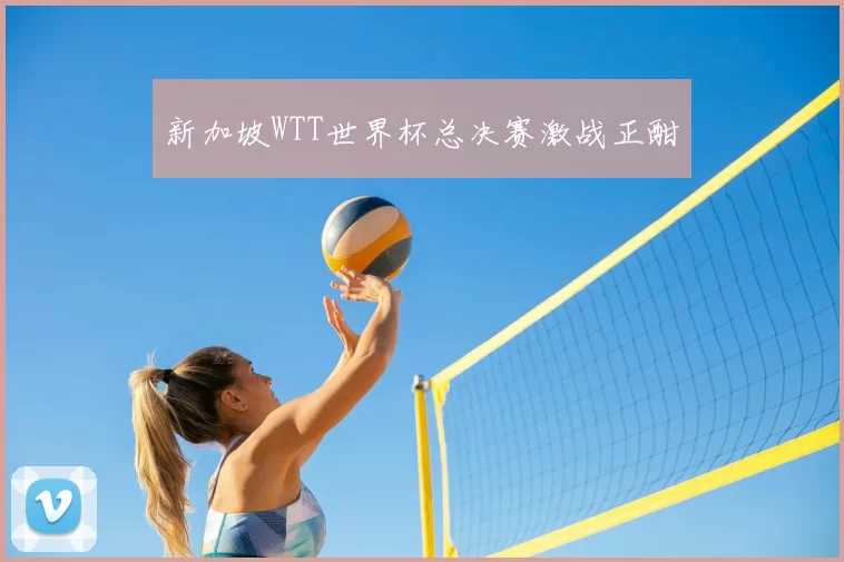 新加坡WTT世界杯总决赛激战正酣