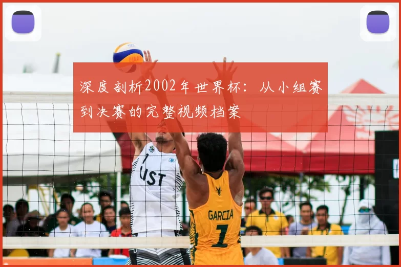 深度剖析2002年世界杯：从小组赛到决赛的完整视频档案