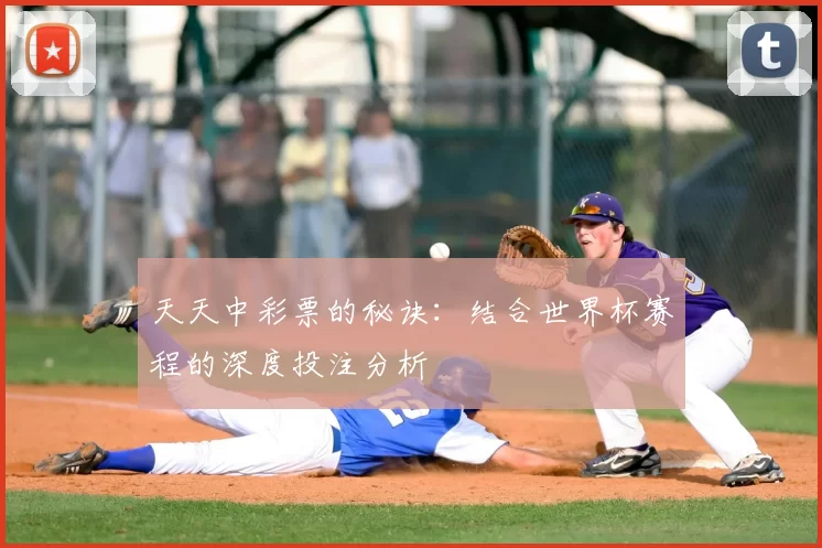 天天中彩票的秘诀：结合世界杯赛程的深度投注分析