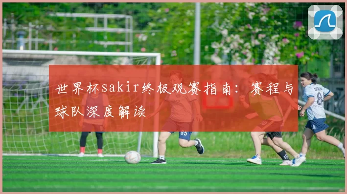 世界杯sakir终极观赛指南：赛程与球队深度解读