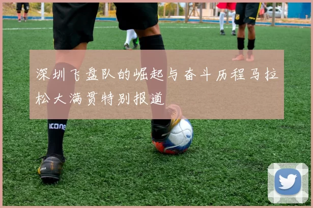 深圳飞盘队的崛起与奋斗历程马拉松大满贯特别报道